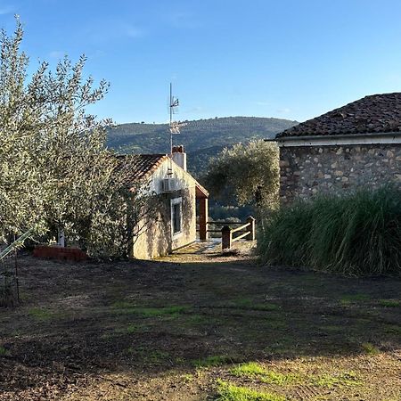 Casas Rurales Los Llanos Fuentes de León Εξωτερικό φωτογραφία