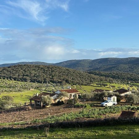 Casas Rurales Los Llanos Fuentes de León Εξωτερικό φωτογραφία