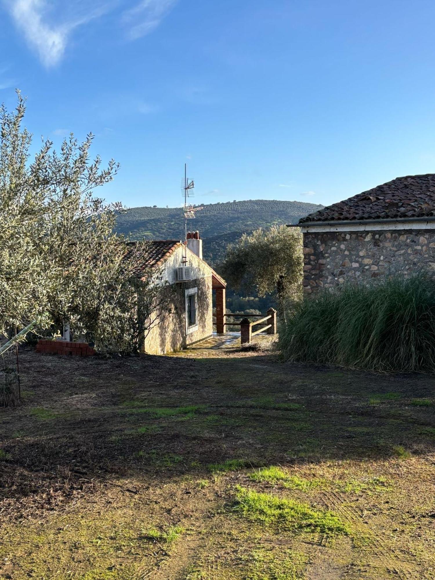 Casas Rurales Los Llanos Fuentes de León Εξωτερικό φωτογραφία