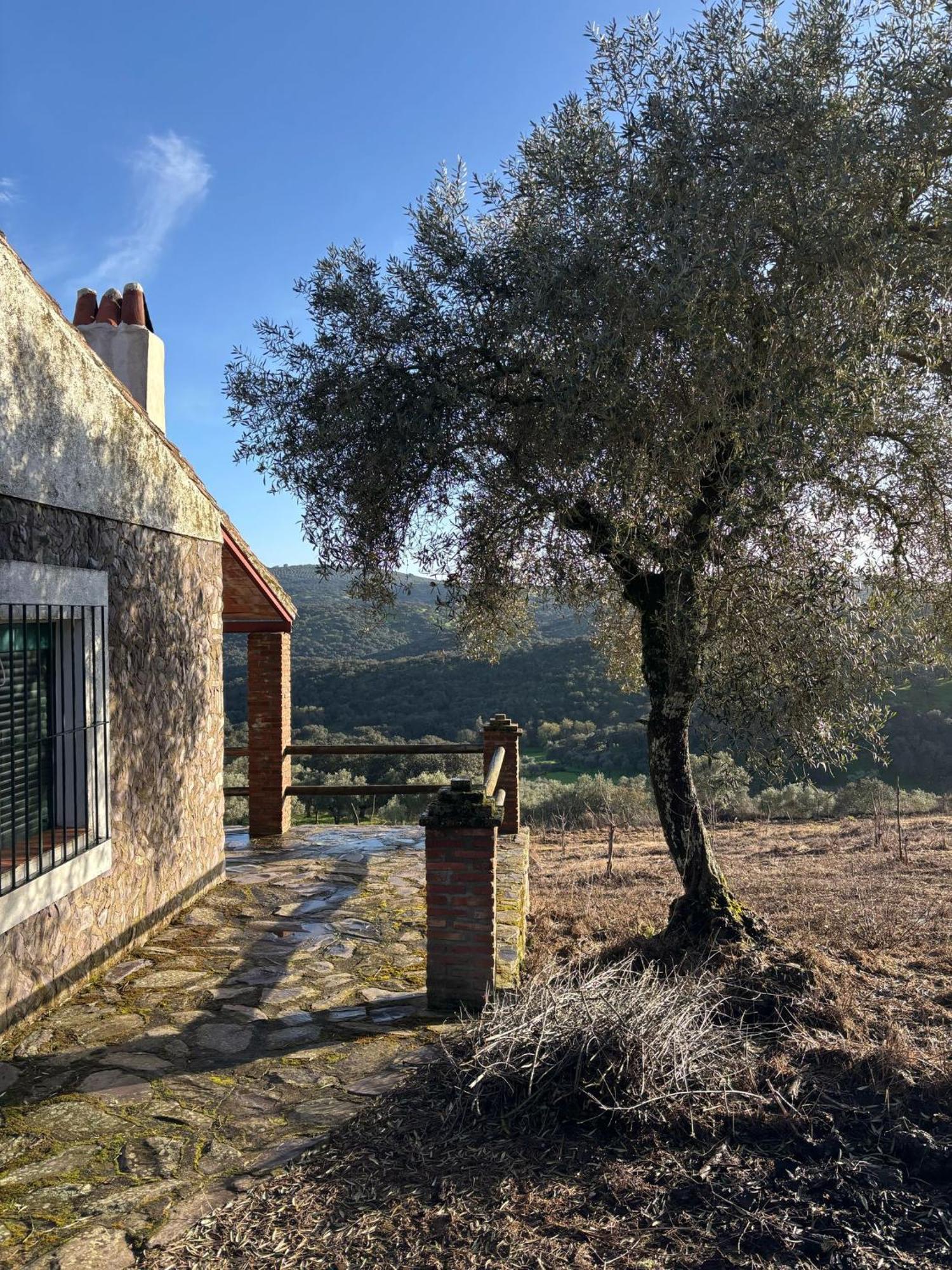 Casas Rurales Los Llanos Fuentes de León Εξωτερικό φωτογραφία