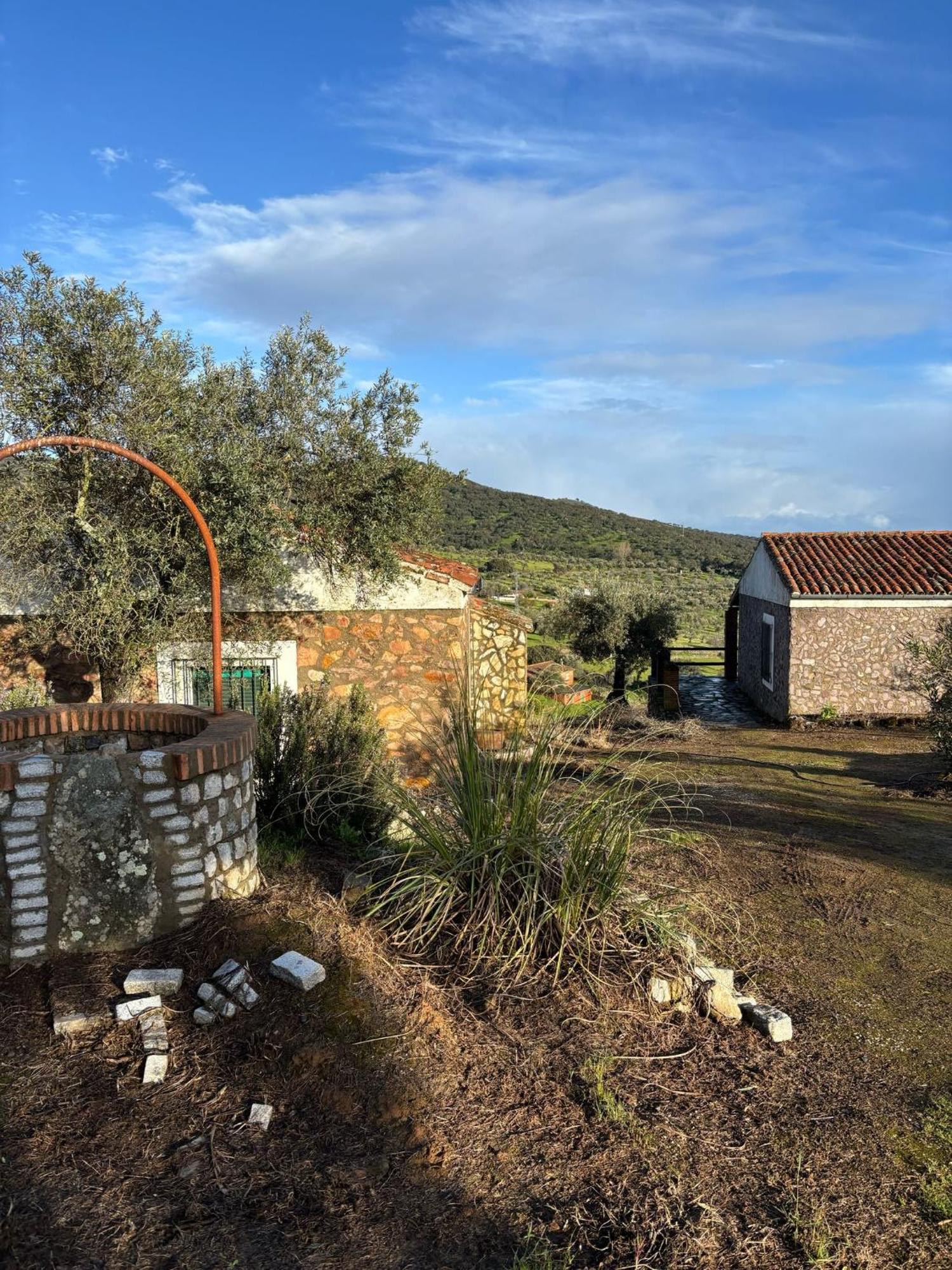 Casas Rurales Los Llanos Fuentes de León Εξωτερικό φωτογραφία