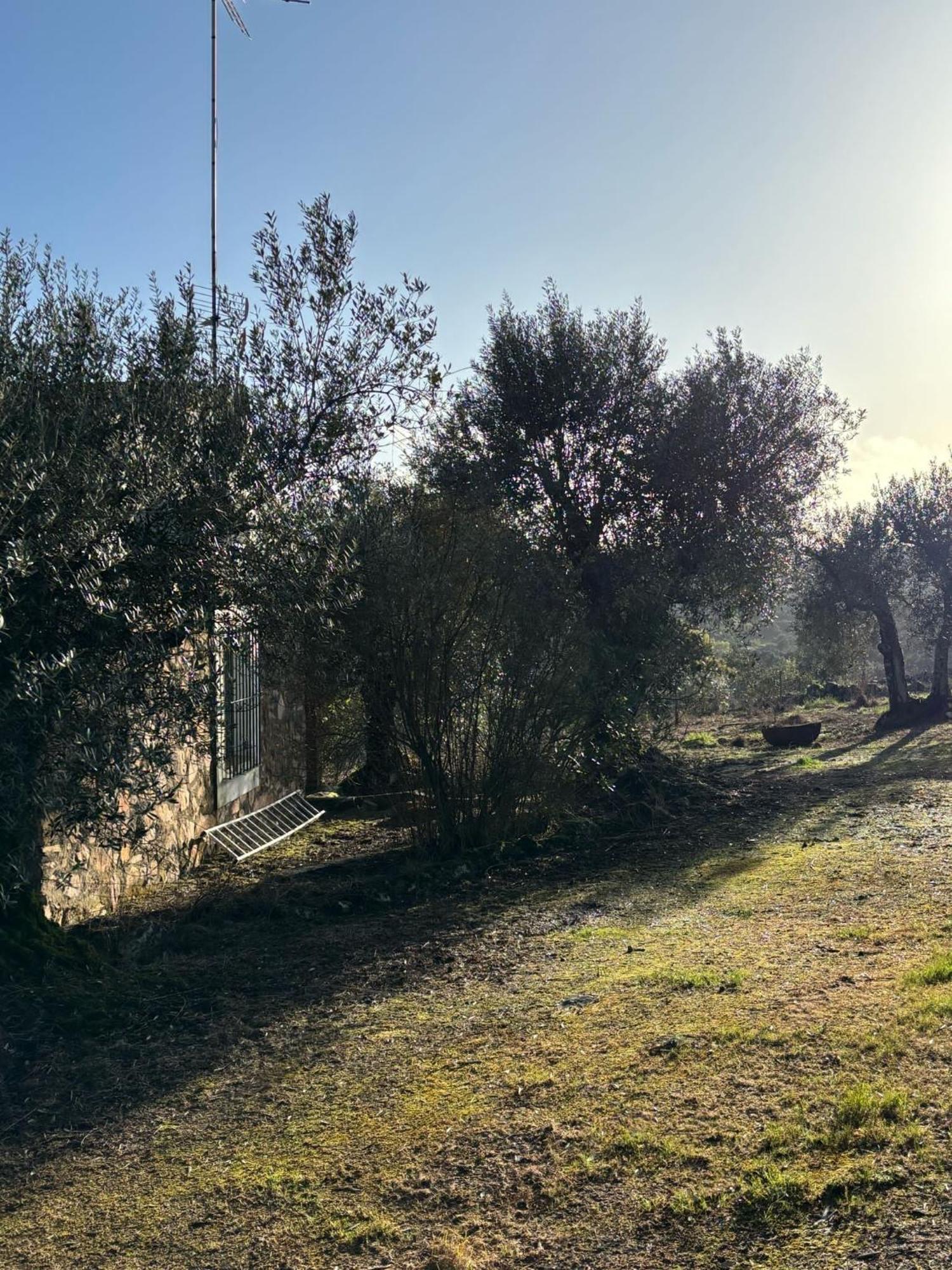 Casas Rurales Los Llanos Fuentes de León Εξωτερικό φωτογραφία