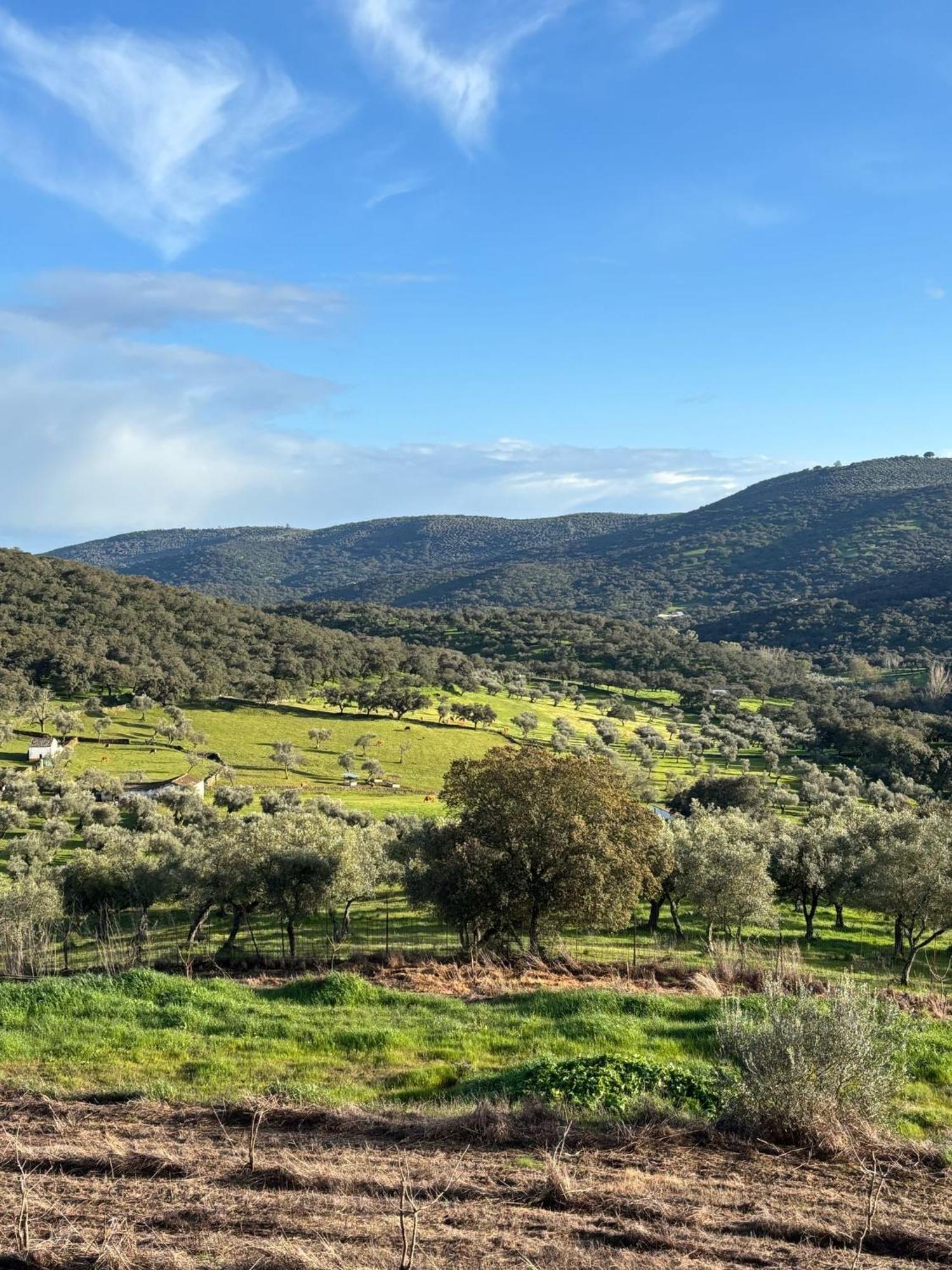 Casas Rurales Los Llanos Fuentes de León Εξωτερικό φωτογραφία