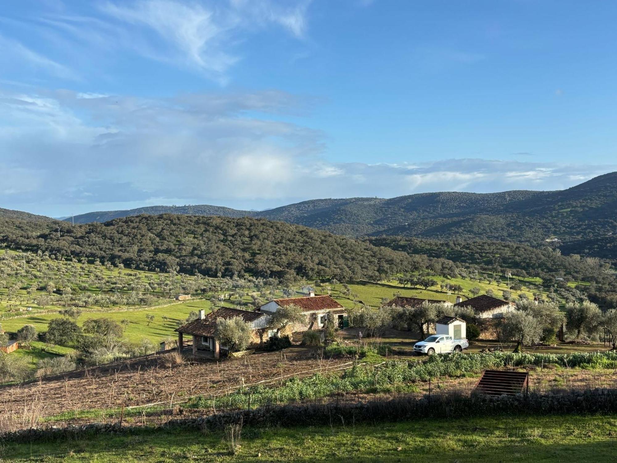 Casas Rurales Los Llanos Fuentes de León Εξωτερικό φωτογραφία